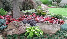 Gardening