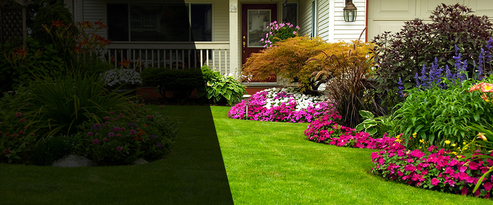 Adamsville Landscapers